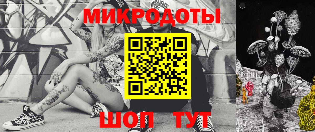 Псилоцибиновые грибы Psilocybe  Вход с VPN  Бор  Галлюциногенные грибы мицелий 