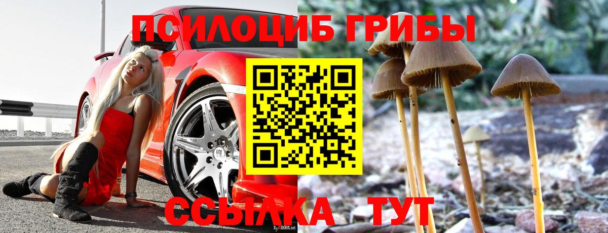 Псилоцибиновые грибы Magic Shrooms Бор
